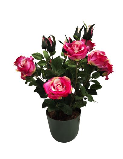 FL251-Design-sans-titre-3-copiepng FL251-Design-sans-titre-3-copiepng