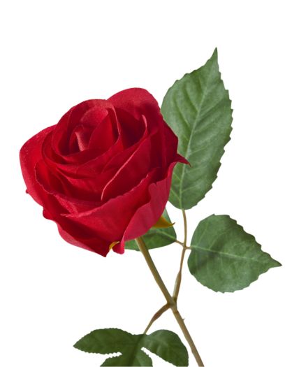 FL908-Design-sans-titre-18png