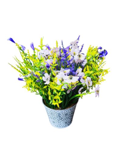 FL955-Design-sans-titre-24png