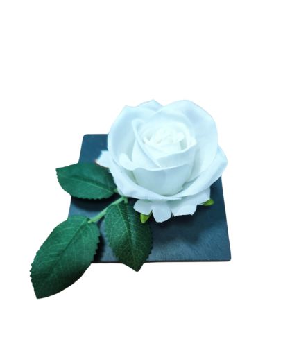 PL863-Design-sans-titre-25png