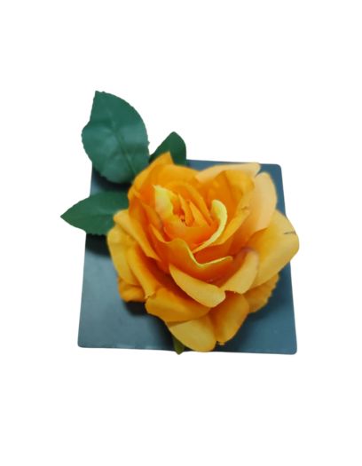 PL864-Design-sans-titre-25png