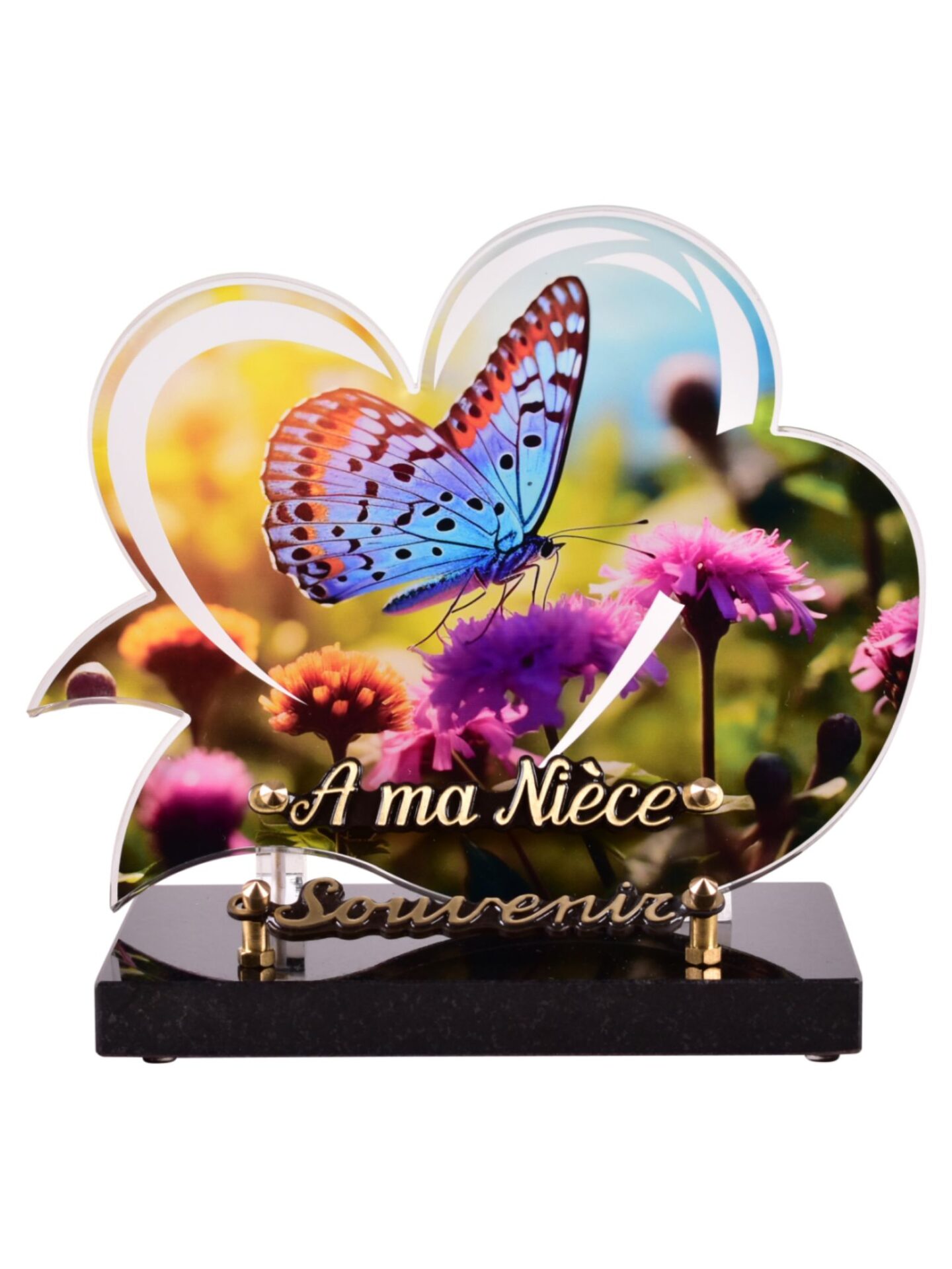 PL883-Design-sans-titre-25png