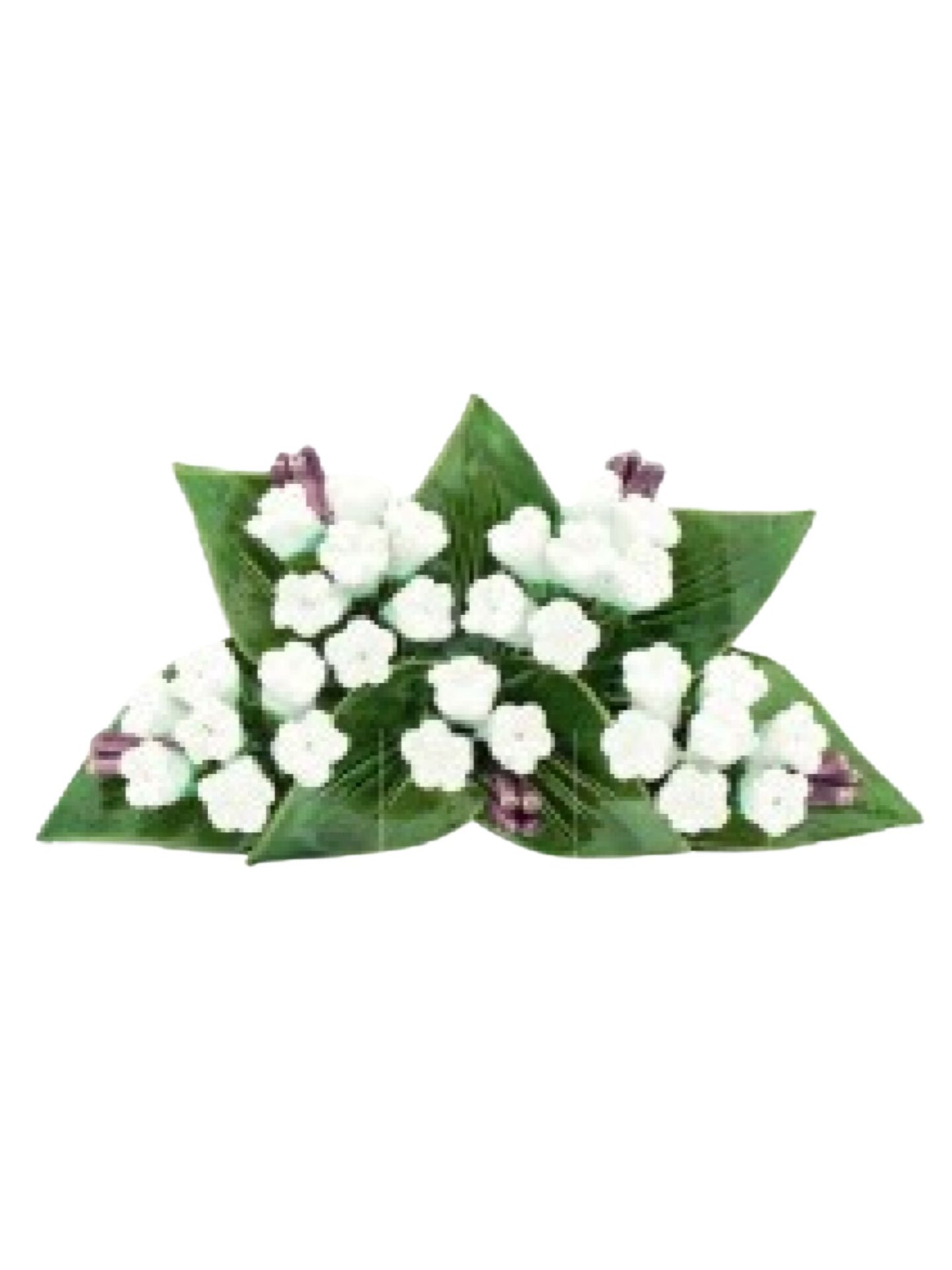 CER036-Design-sans-titre-27