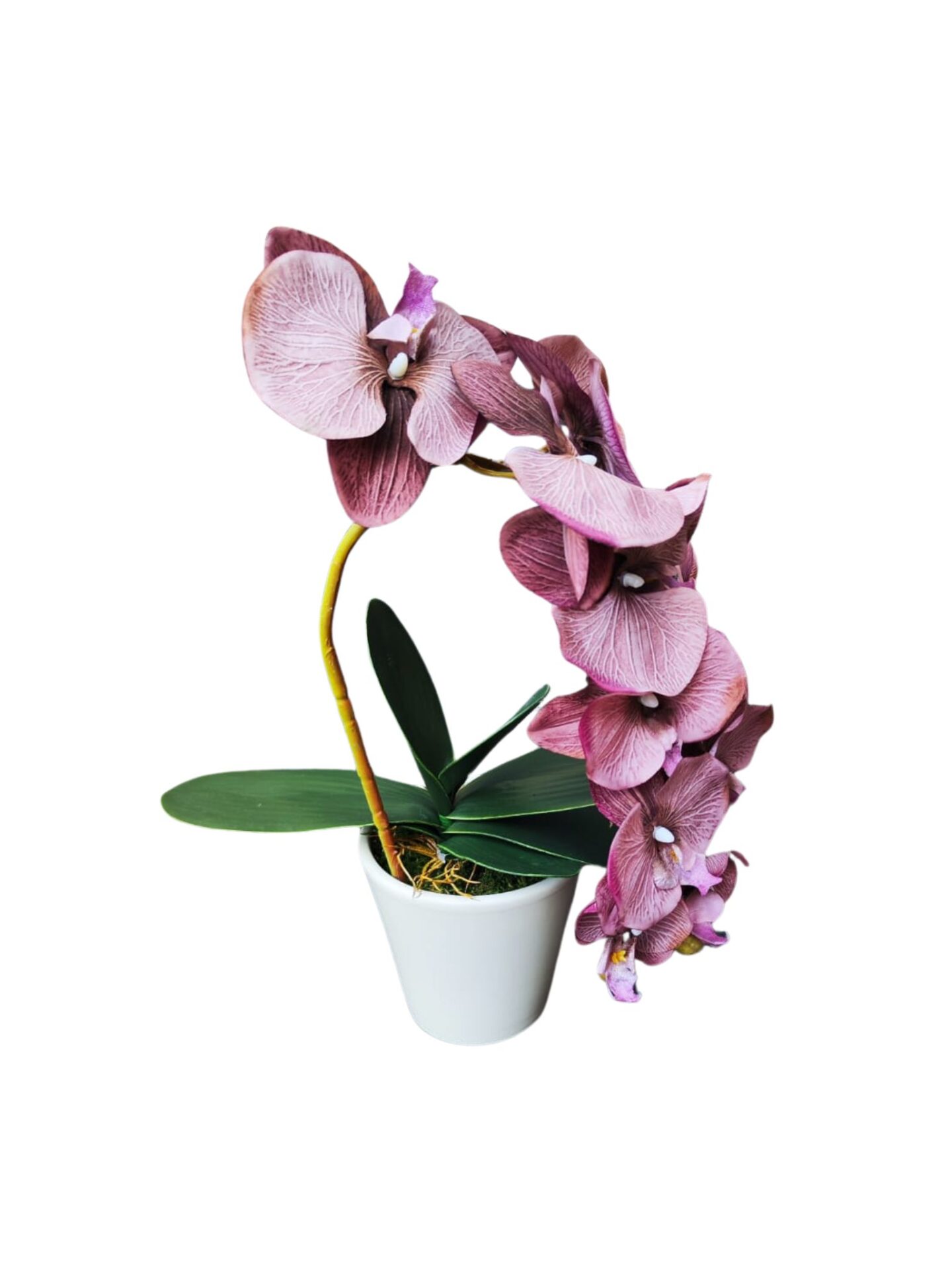 FL672-Design-sans-titre-27