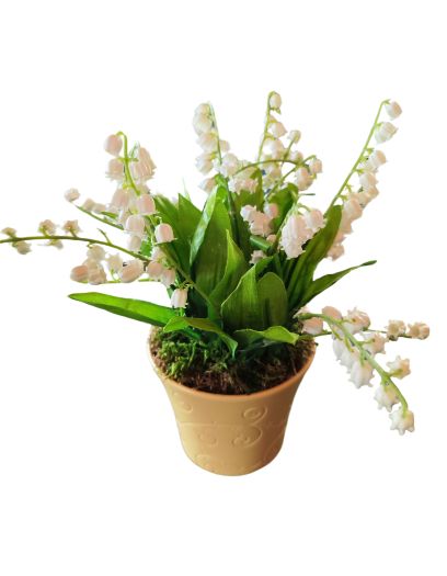 FL765-Design-sans-titre-4 FL765-Design-sans-titre-4