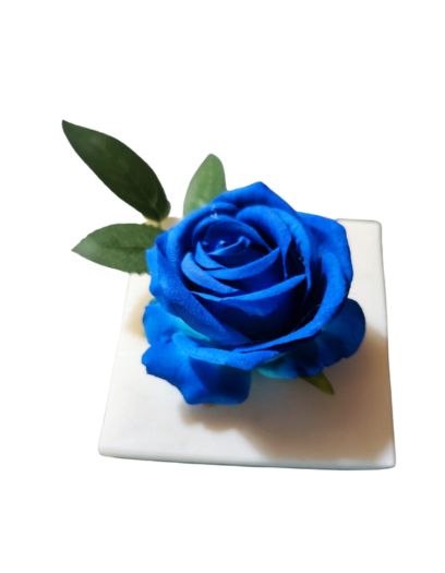 PL858-Design-sans-titre-14