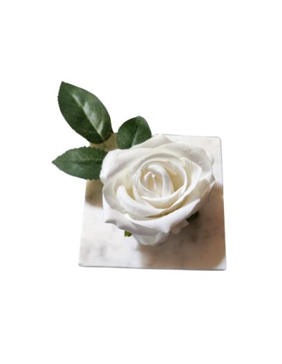 PL860-Design-sans-titre-14