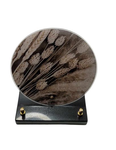 PL552-Design-sans-titre-3-copie