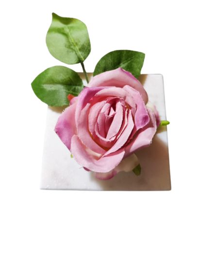 PL851-Design-sans-titre-15 PL851-Design-sans-titre-15