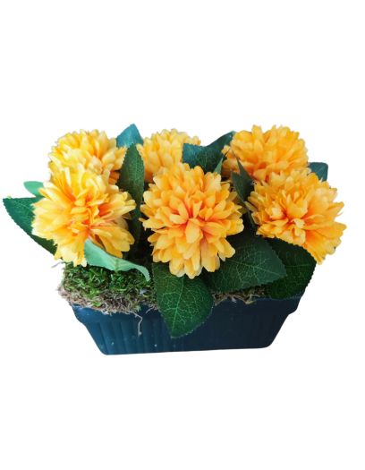 FL816-Design-sans-titre-5 FL816-Design-sans-titre-5