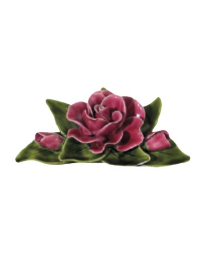 CER024-Design-sans-titre-7