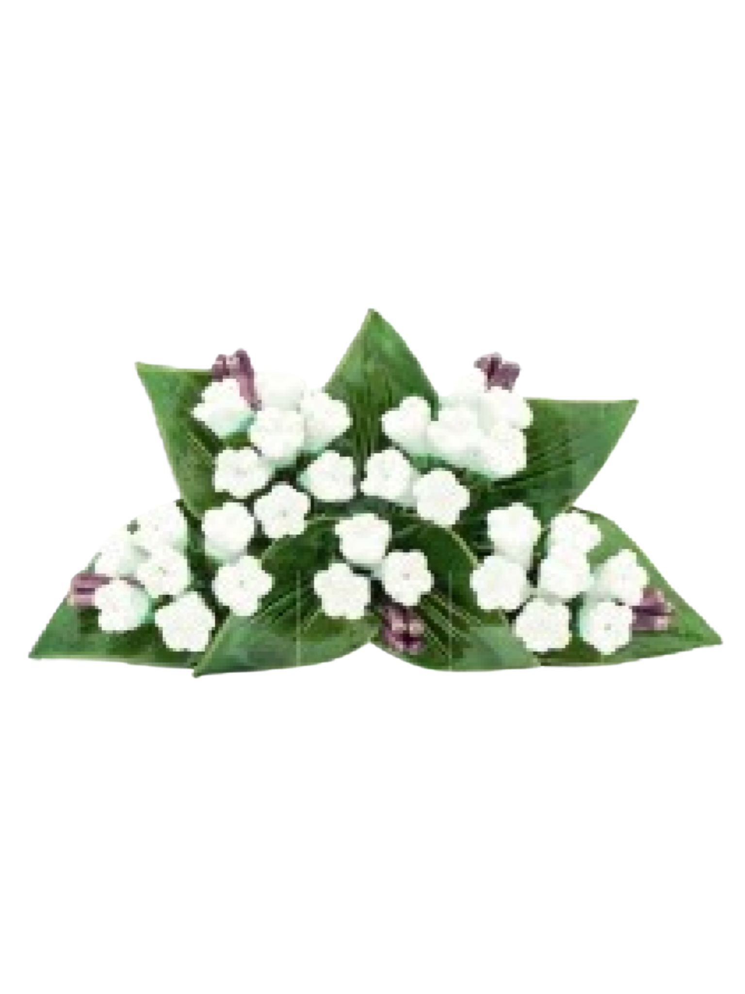 CER036-Design-sans-titre-27