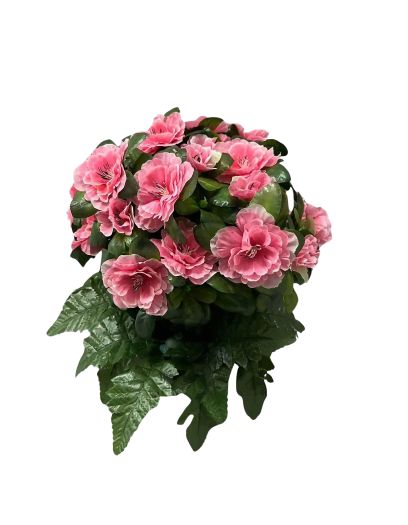 FL021-Design-sans-titre-2