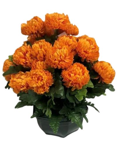 FL066B-Design-sans-titre-2-copie