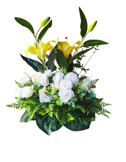 FL1024-Design-sans-titre-135