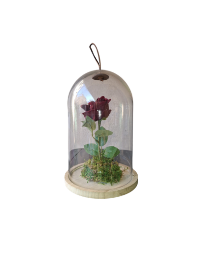 FL1047-Design-sans-titre-50