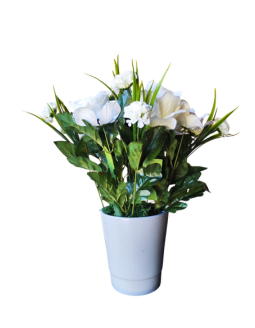FL1083-Design-sans-titre-91