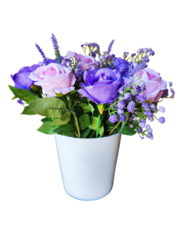 FL1087-Design-sans-titre-95