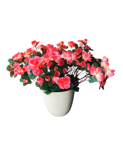 FL1098-Design-sans-titre-111
