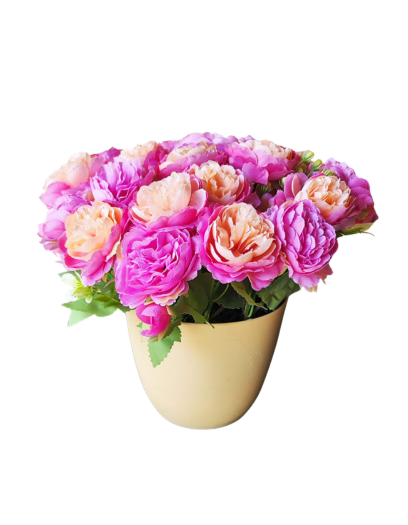 FL1100-Design-sans-titre-114