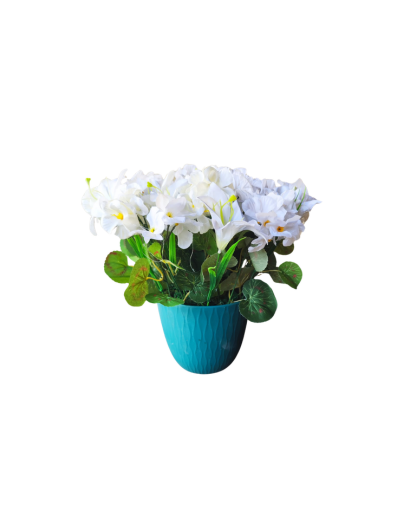 FL1103-Design-sans-titre-120