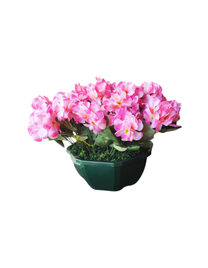 FL1115-Design-sans-titre-133