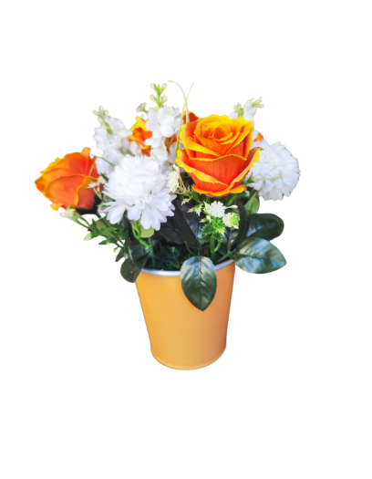 FL1117-Design-sans-titre-137