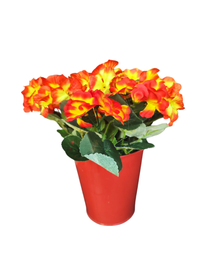FL1120-Design-sans-titre-141