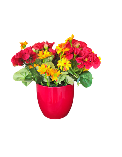 FL1121-Design-sans-titre-142