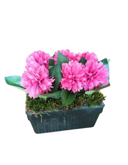 FL815-Design-sans-titre-5