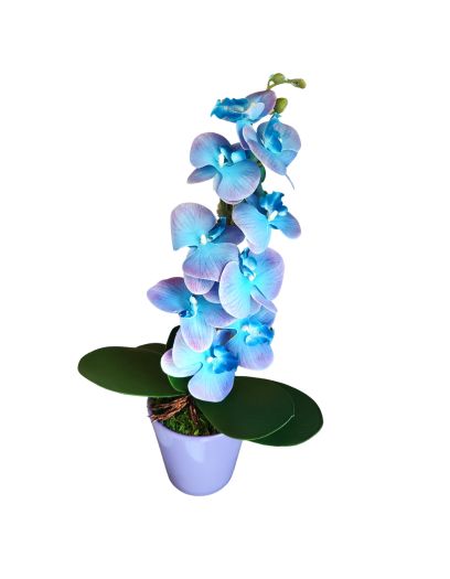 FL879-Design-sans-titre-6