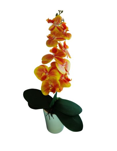FL885-Design-sans-titre-6