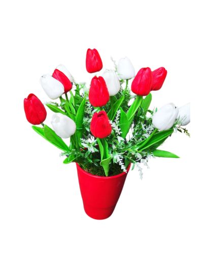 FL938-Design-sans-titre-20