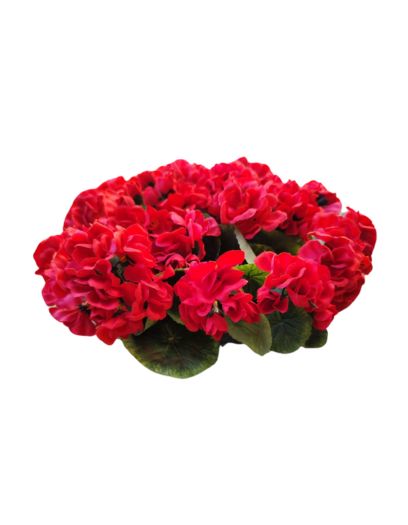 FL959-Design-sans-titre-24