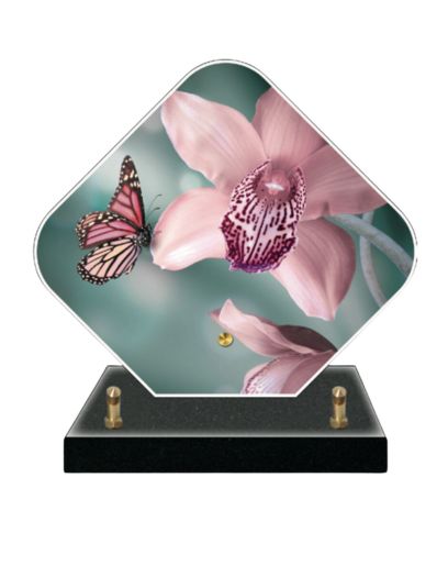 PL667-Design-sans-titre-7