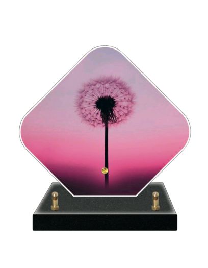 PL668-Design-sans-titre-7