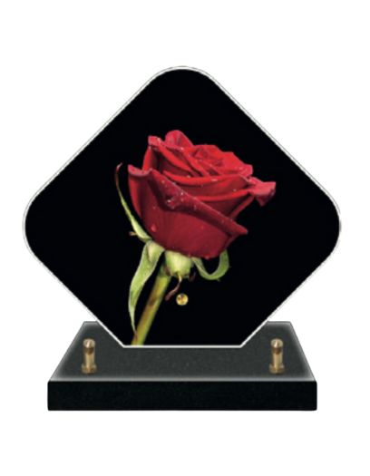 PL669-Design-sans-titre-7