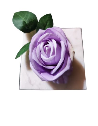 PL852-Design-sans-titre-15