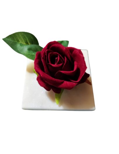 PL853-Design-sans-titre-15