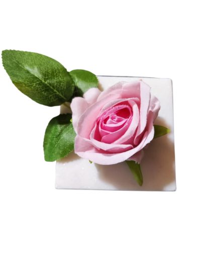PL854-Design-sans-titre-15