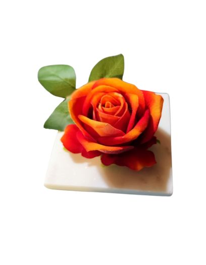 PL855-Design-sans-titre-15
