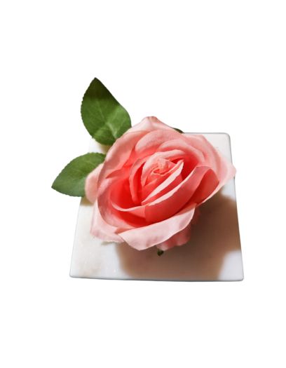 PL856-Design-sans-titre-15