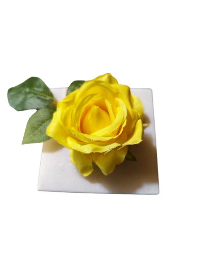PL857-Design-sans-titre-14