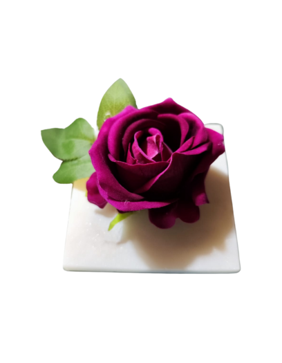 PL859-Design-sans-titre-7