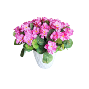 FL1147-Design-sans-titre-174