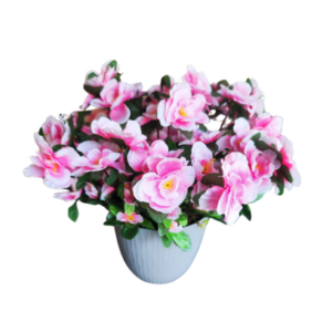 FL1148-Design-sans-titre-176